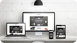 Shopify Plus Development