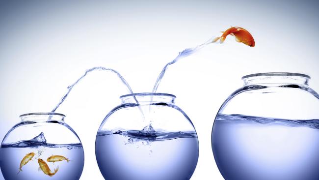 Change your Environment