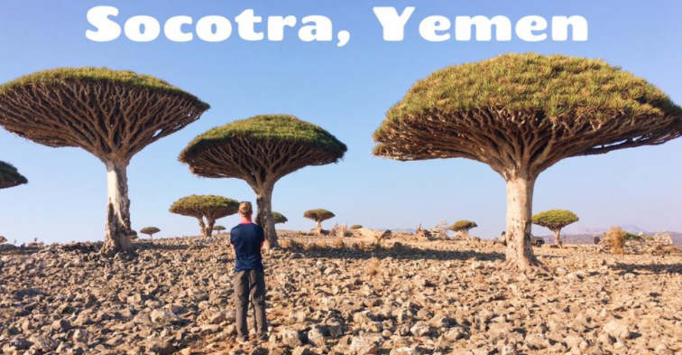 Johnny Ward Travel to Scotia Yemen